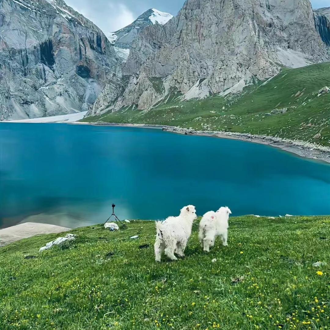 飞天猪外贸鞋服