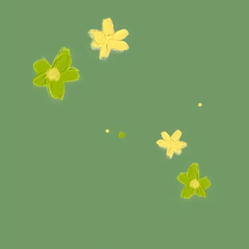 家有三宝🎈