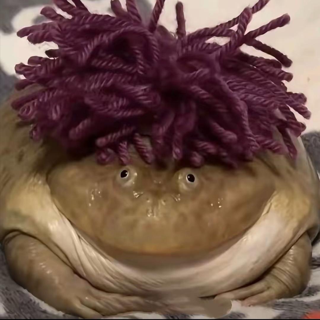 吃肉就吃坨坨肉