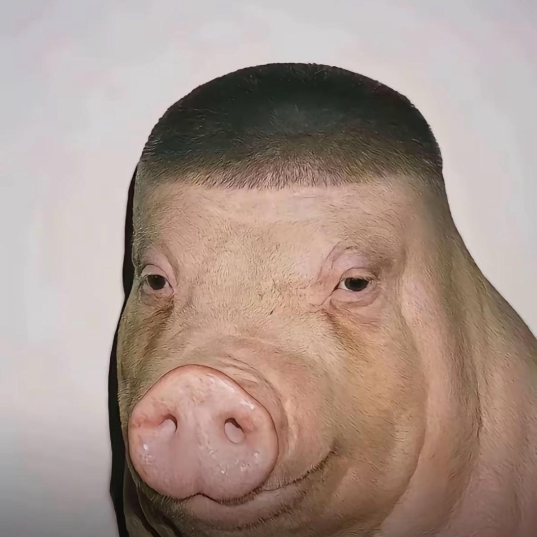 追流星的小人