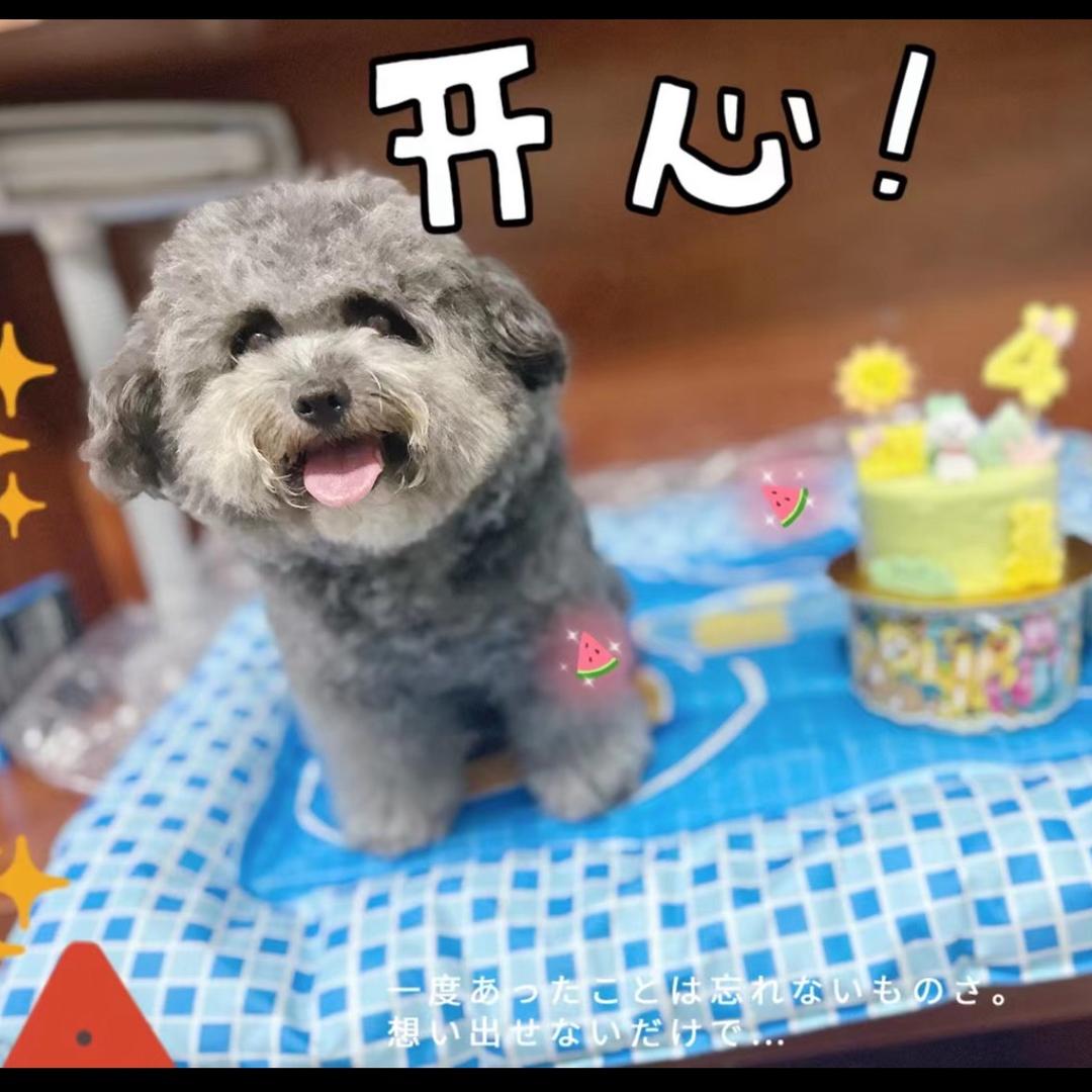 想想