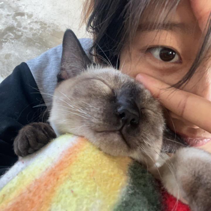 橘柚.