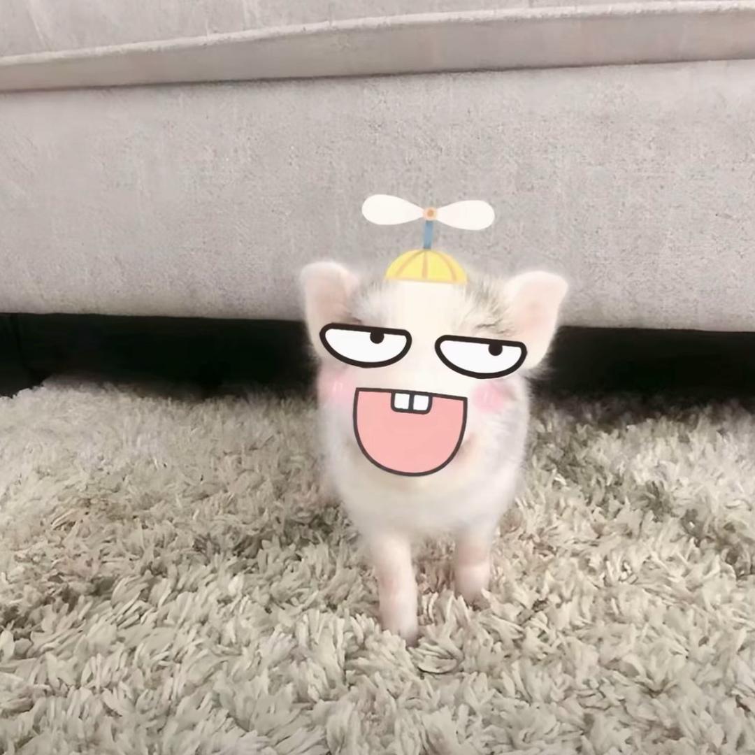 /ᐠ - ˕ -マ Ⳋ