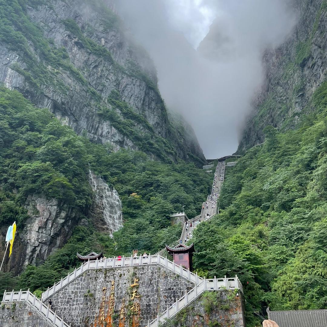 小鱼儿