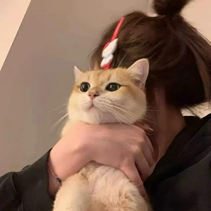纯 .
