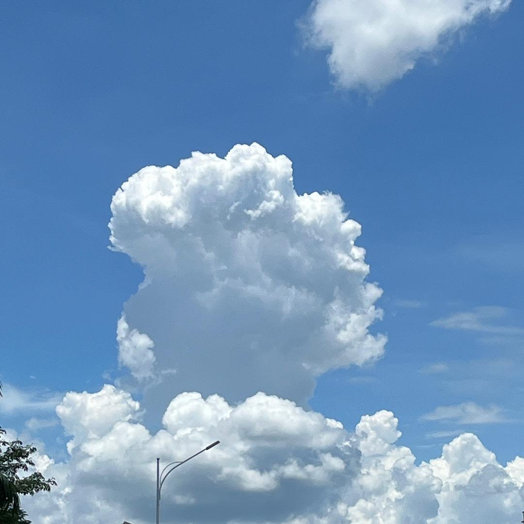野马大人