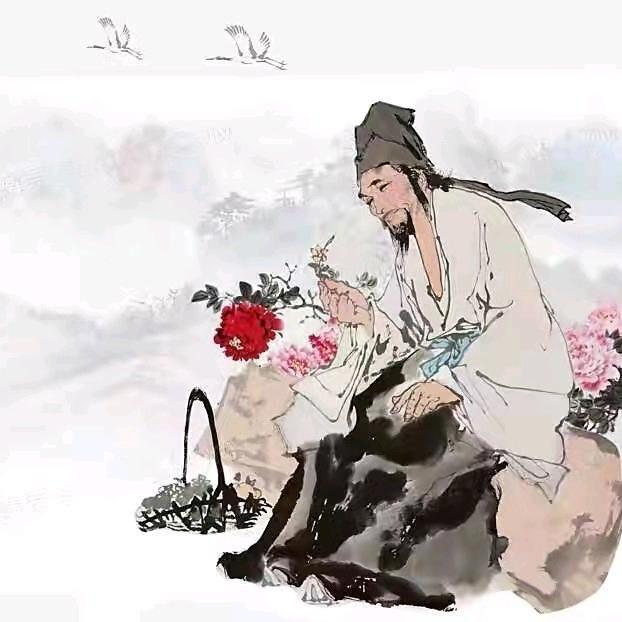 汉方本草