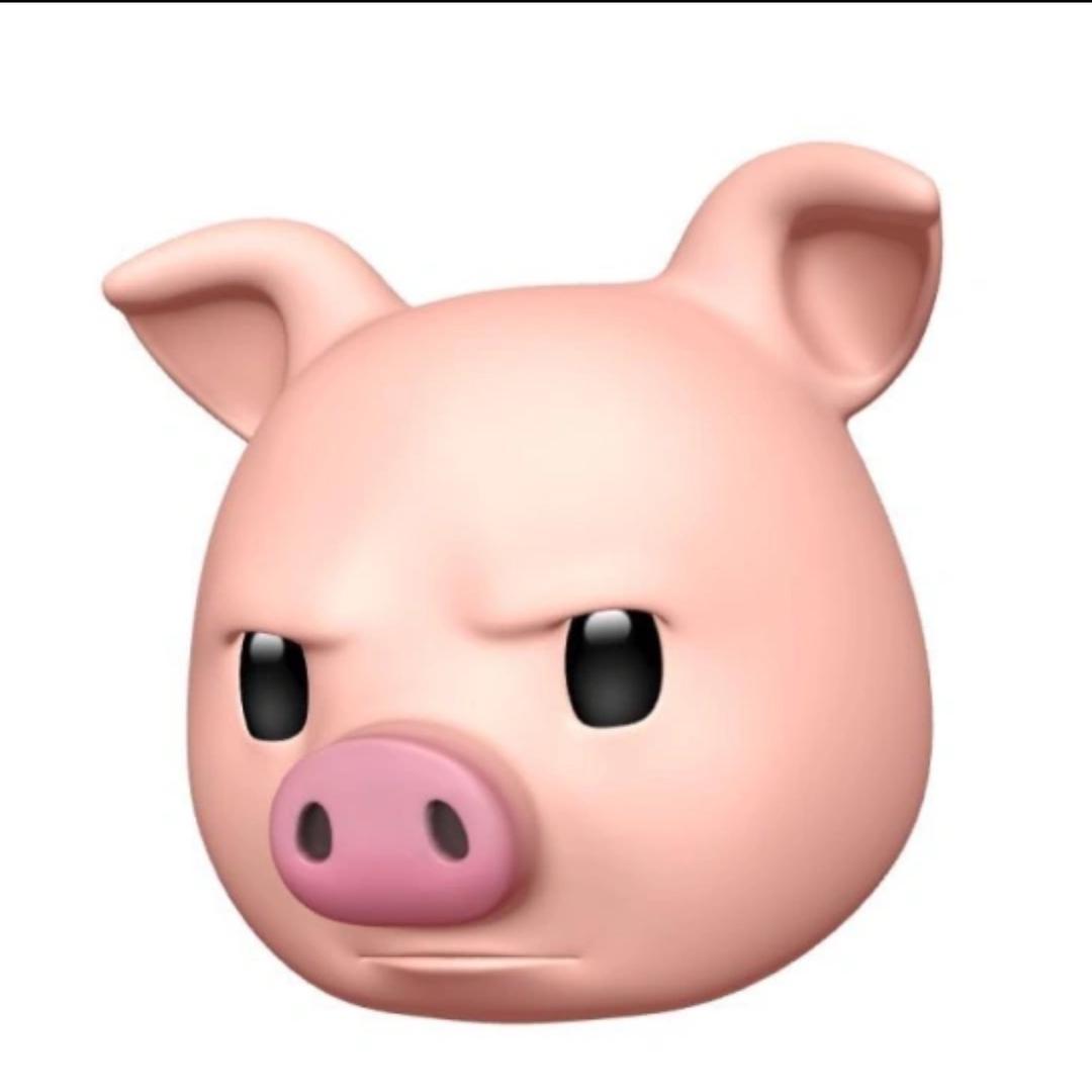 陈楚妍