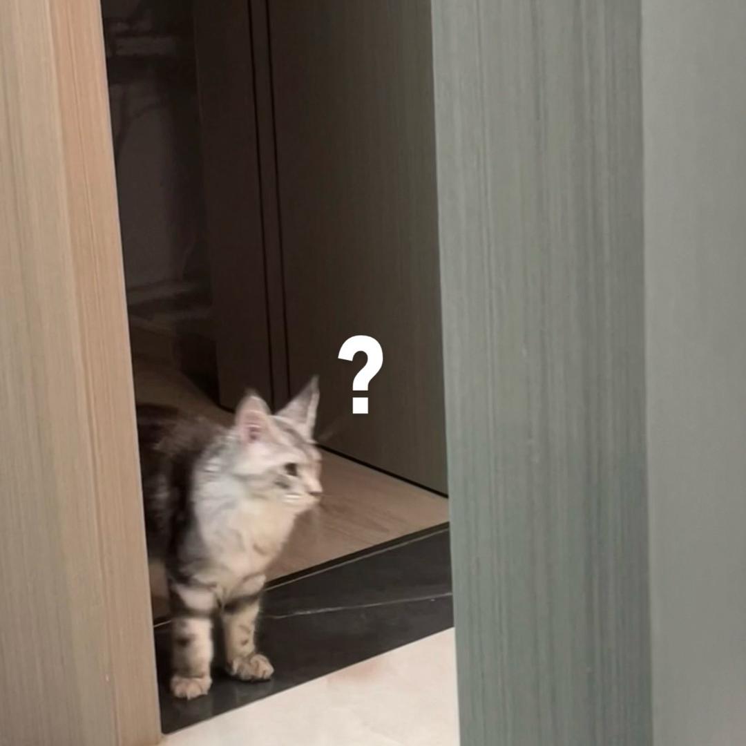 哎嘿嘿嘿嘿嘿嘿