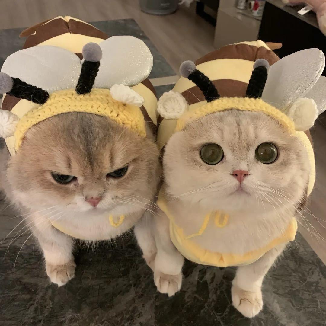 珍妮的钓鱼生活