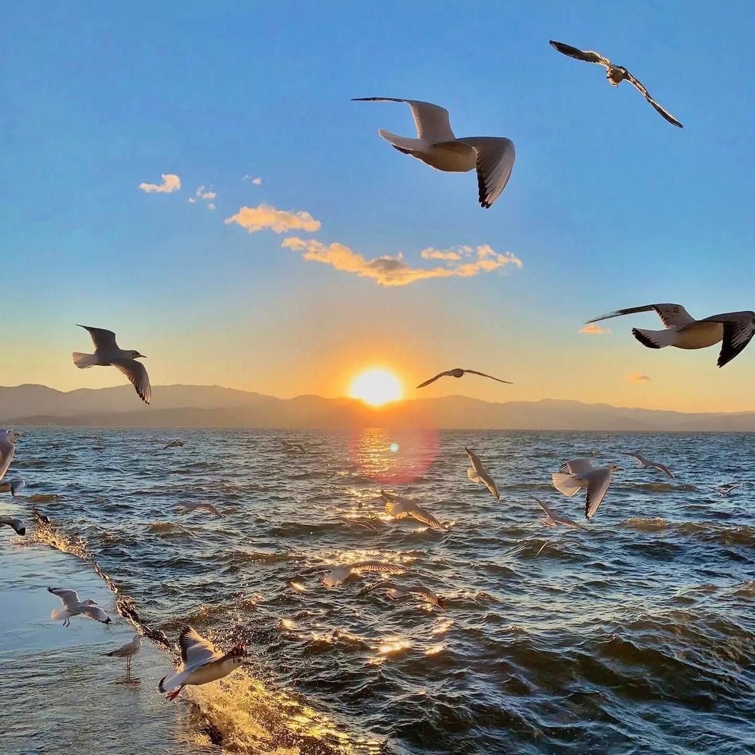 A  五菱汽车-阿艺 （佛山总店）