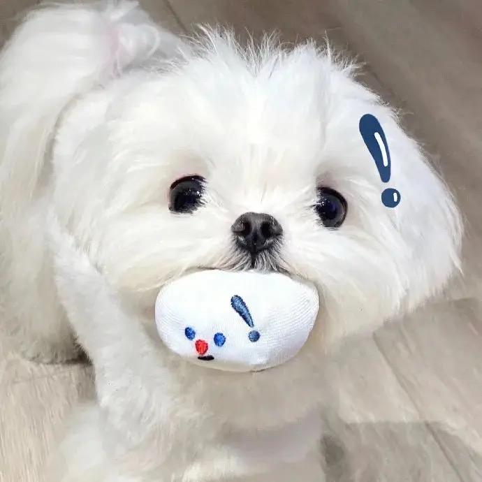 AA建材批发呆姐