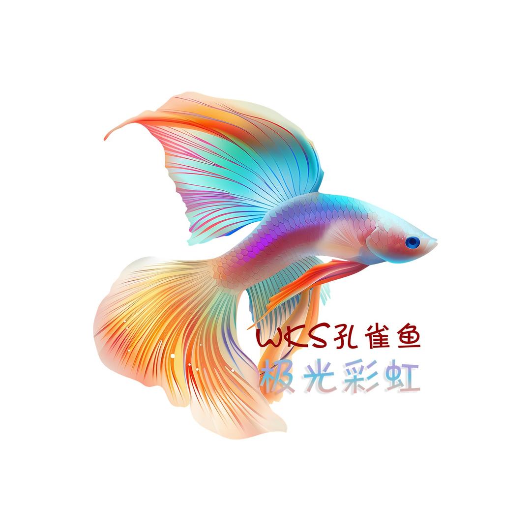 WKS观赏鱼店