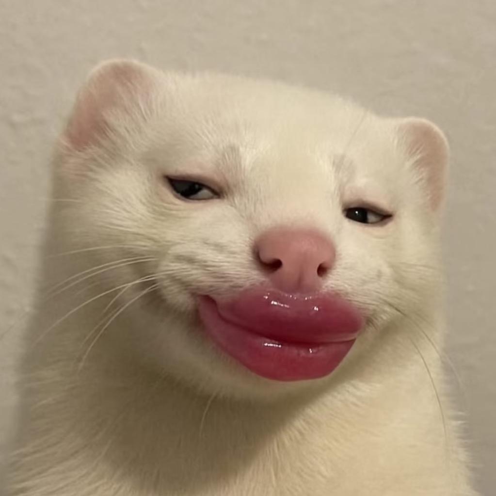 咪咪咪。