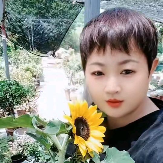 太康县百合多肉绿植园