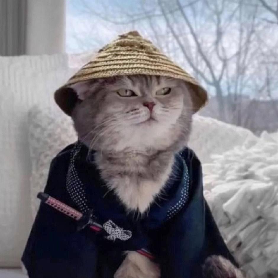 专业 表面喷漆 加工