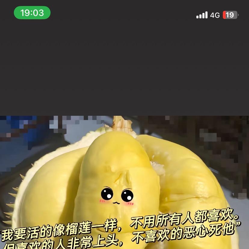 61307304558