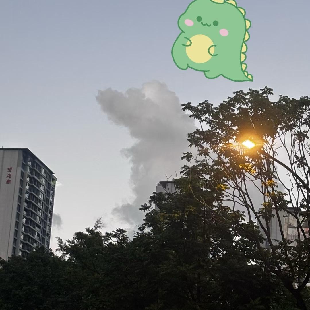 ¥_¥