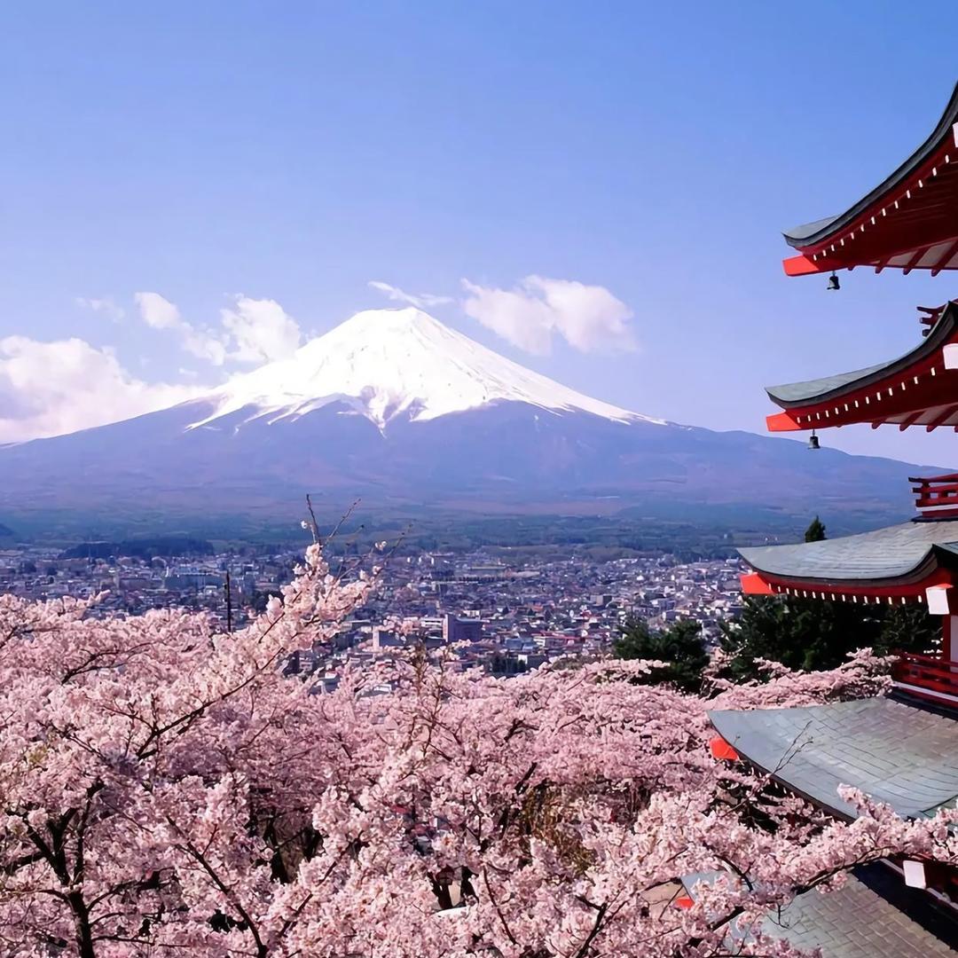 GGBond（三角洲行动）