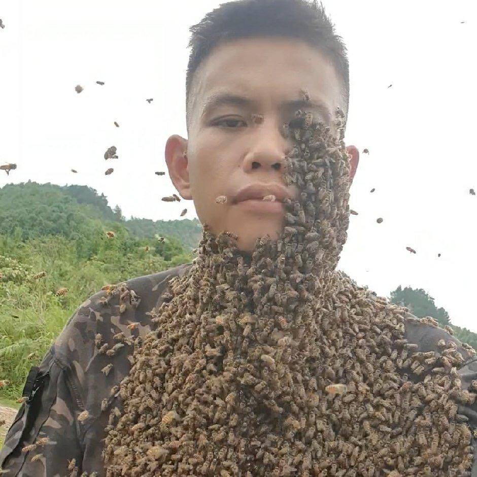 平果追蜂者阿锋