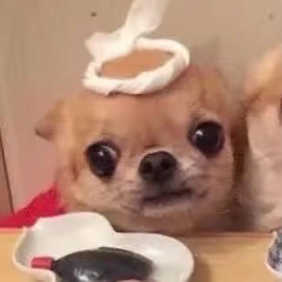 绘梨