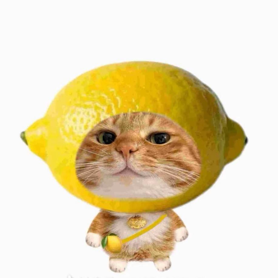 熊大大