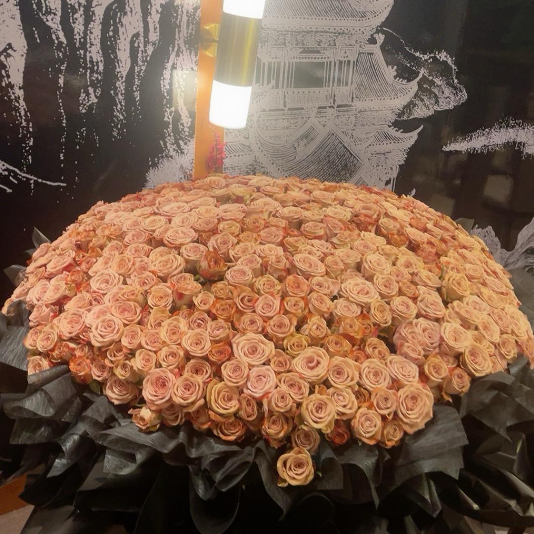 富贵花开