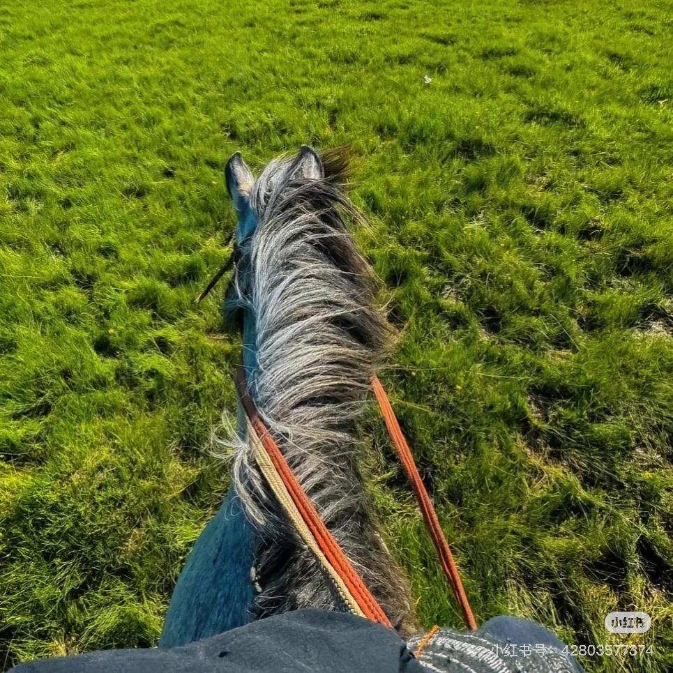 乌兰察布云牧自驾游｜火山草原自由行