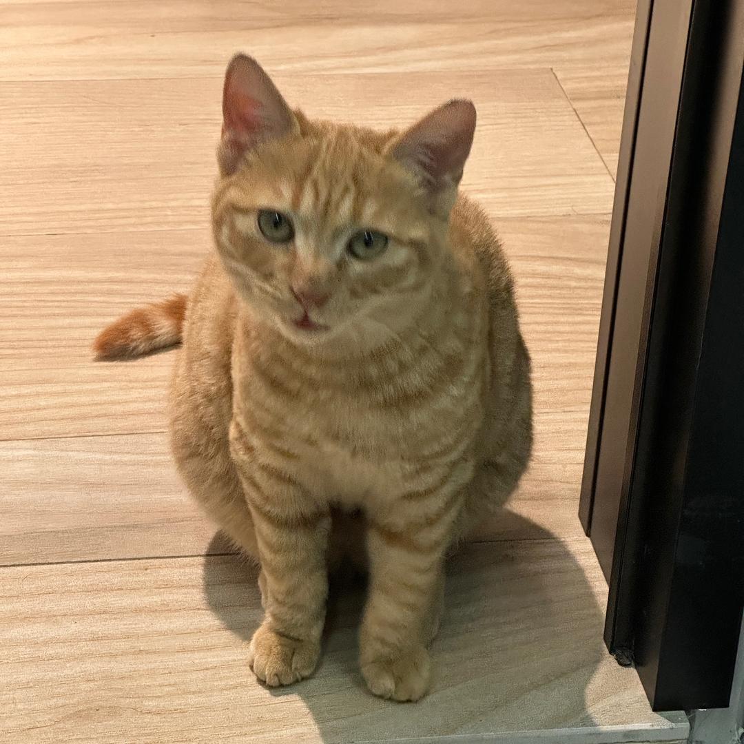 Luck比莉