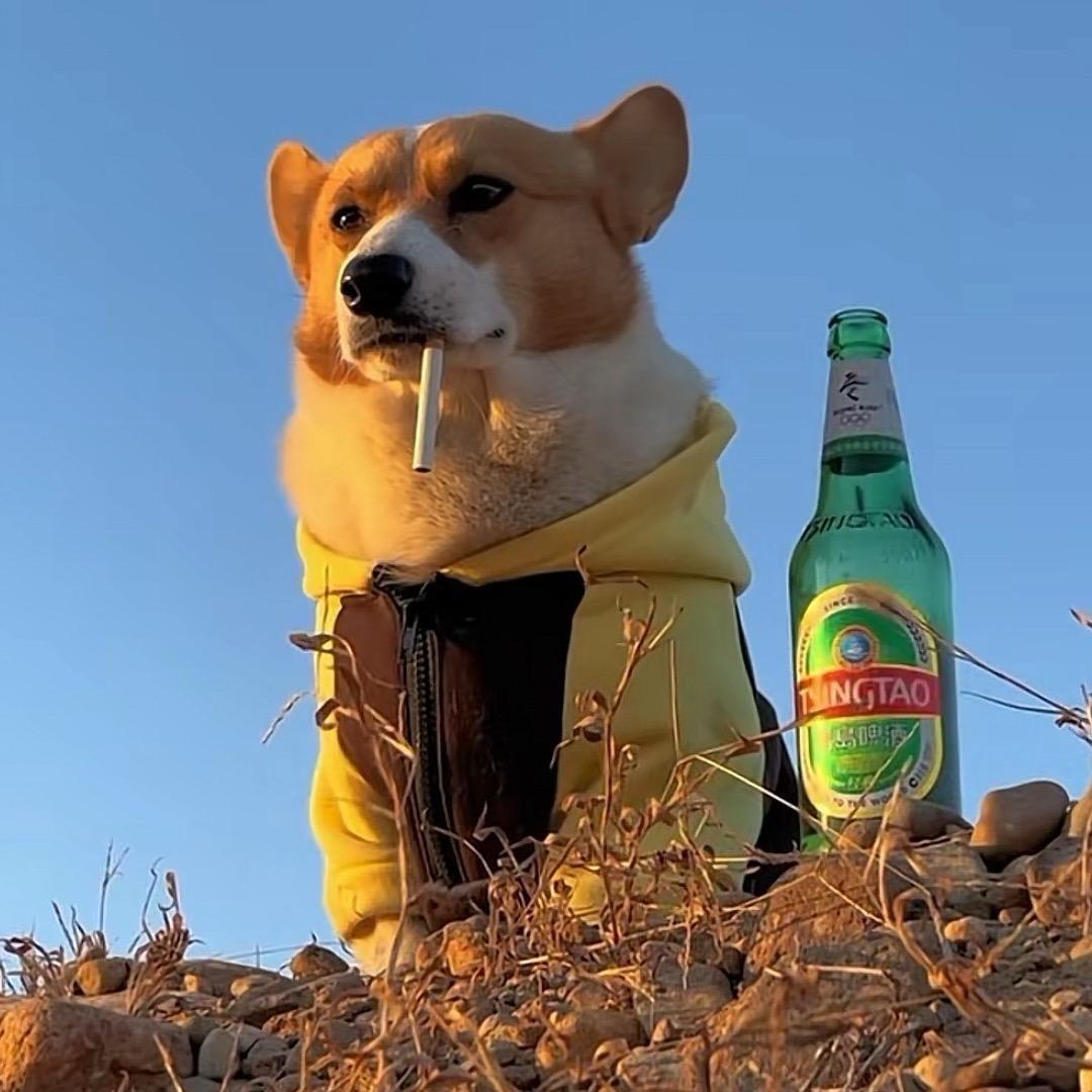 半帘灯焰暗（繁华）