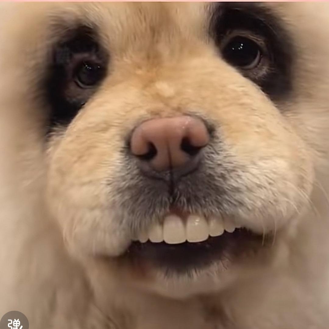 🌈啊瓦达啃大瓜🌈