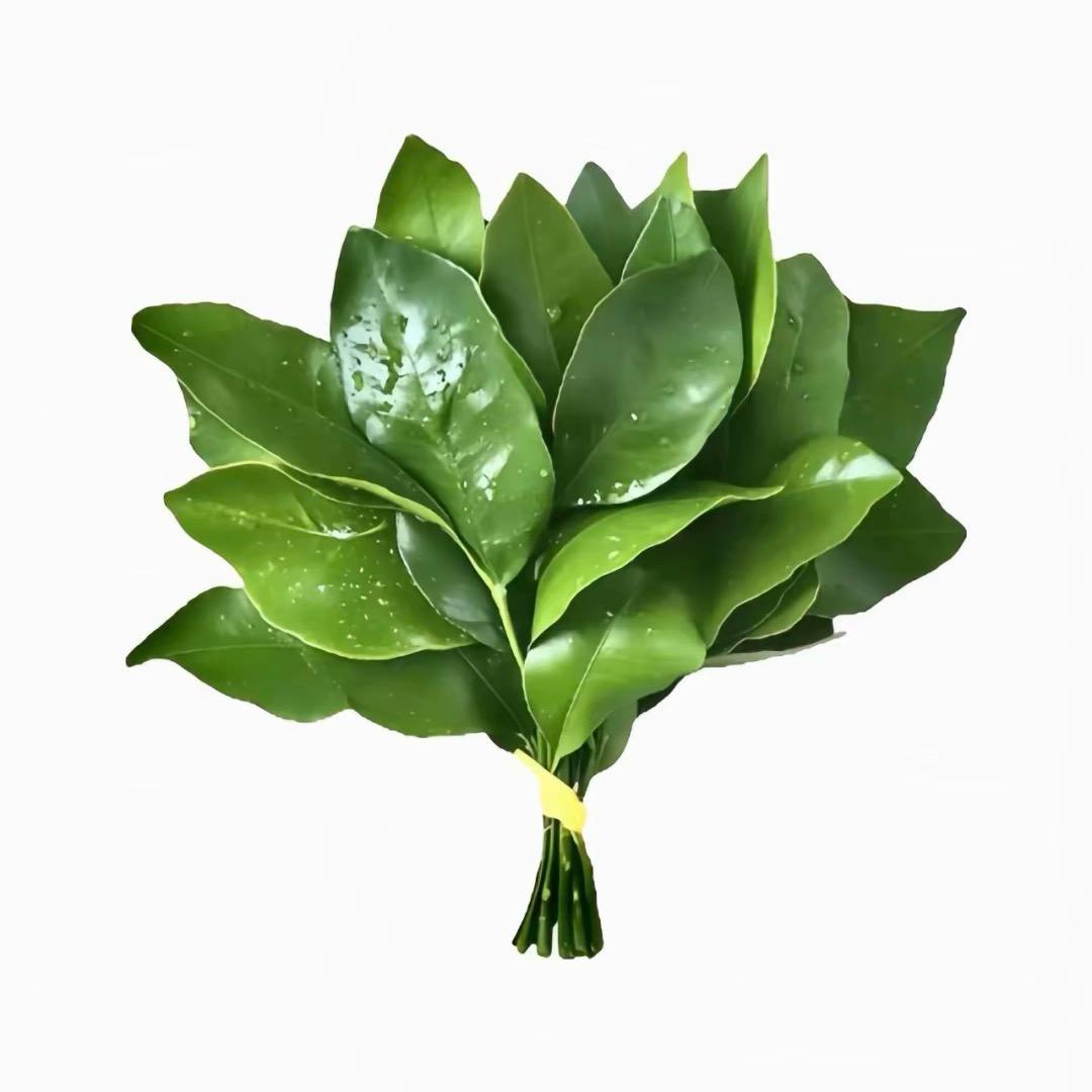 Y ，