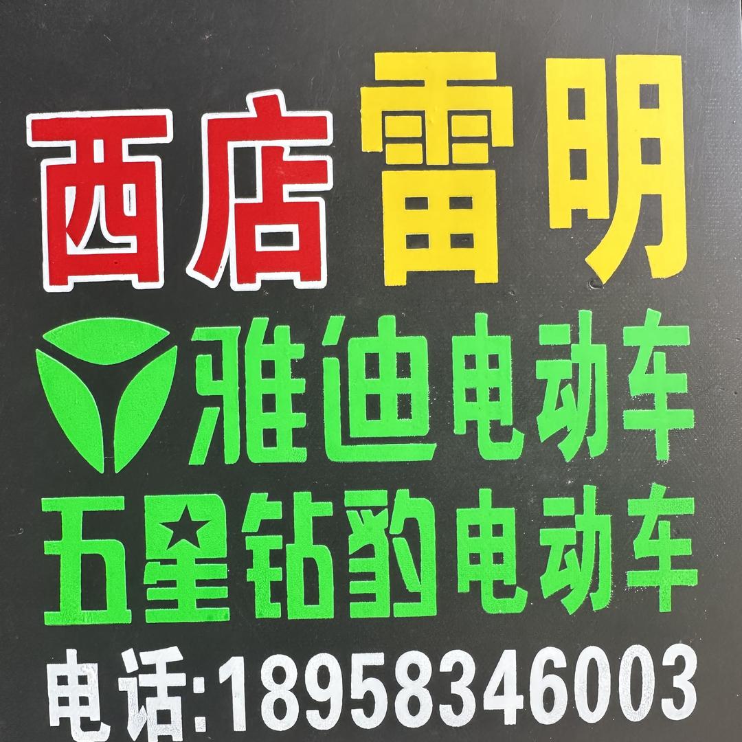 西店雷明电动车