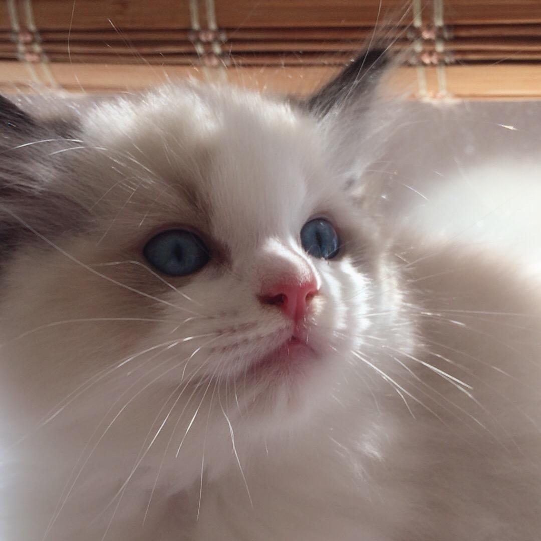 兼爱