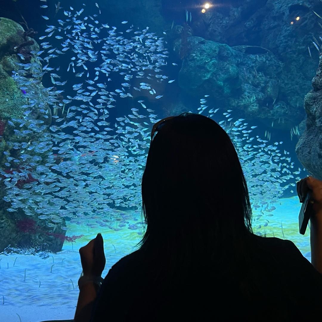 赵胖胖甄选(广佛零食仓供应链)