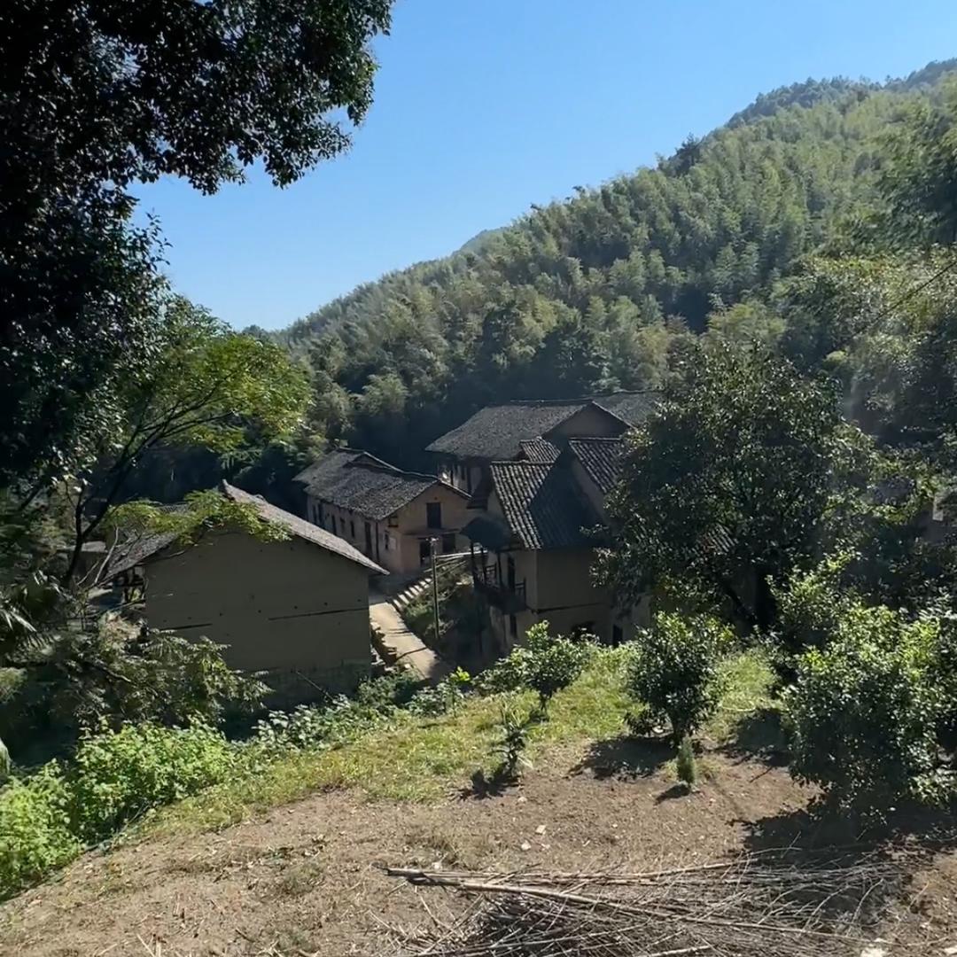 善萍的菩提修行路