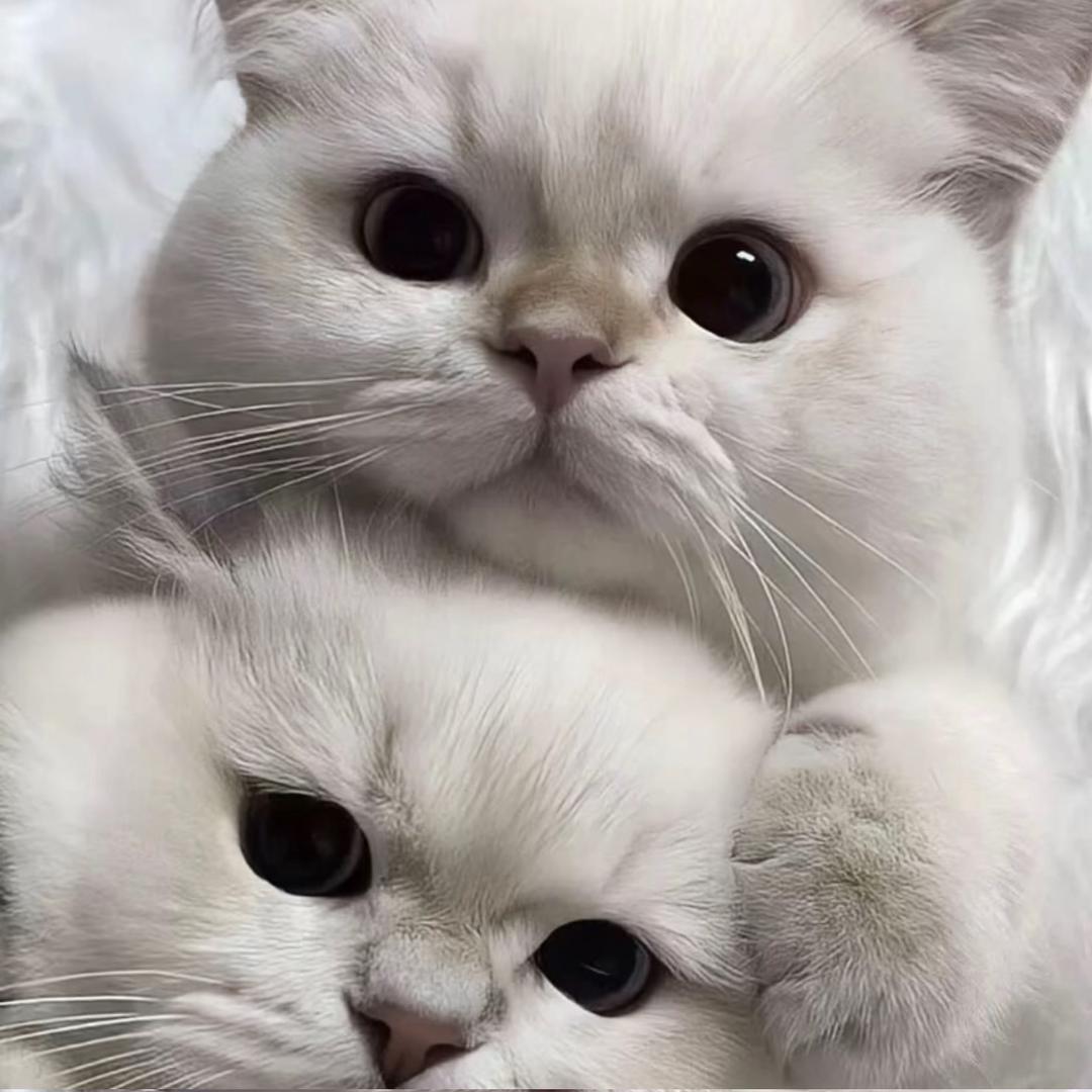 璟