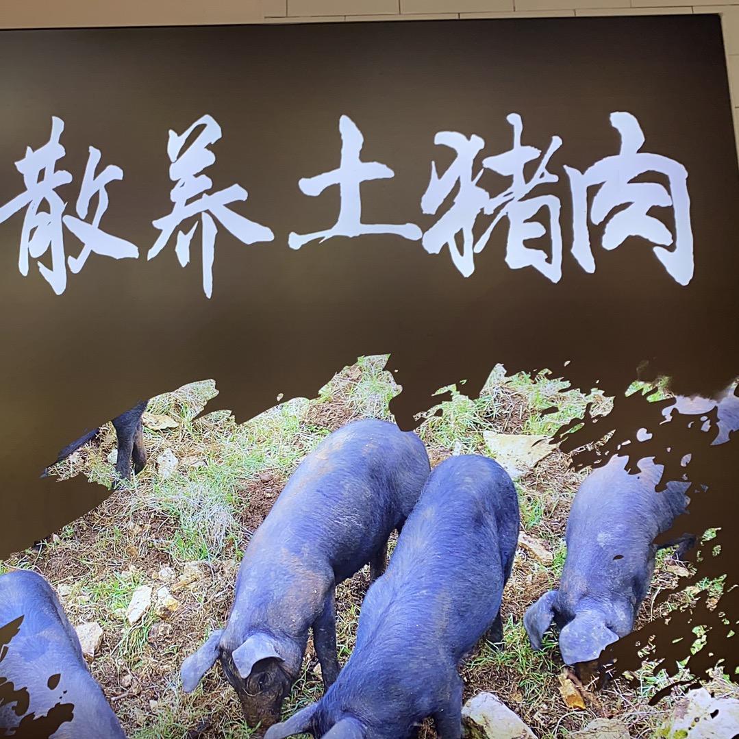 济宁市散养土猪肉