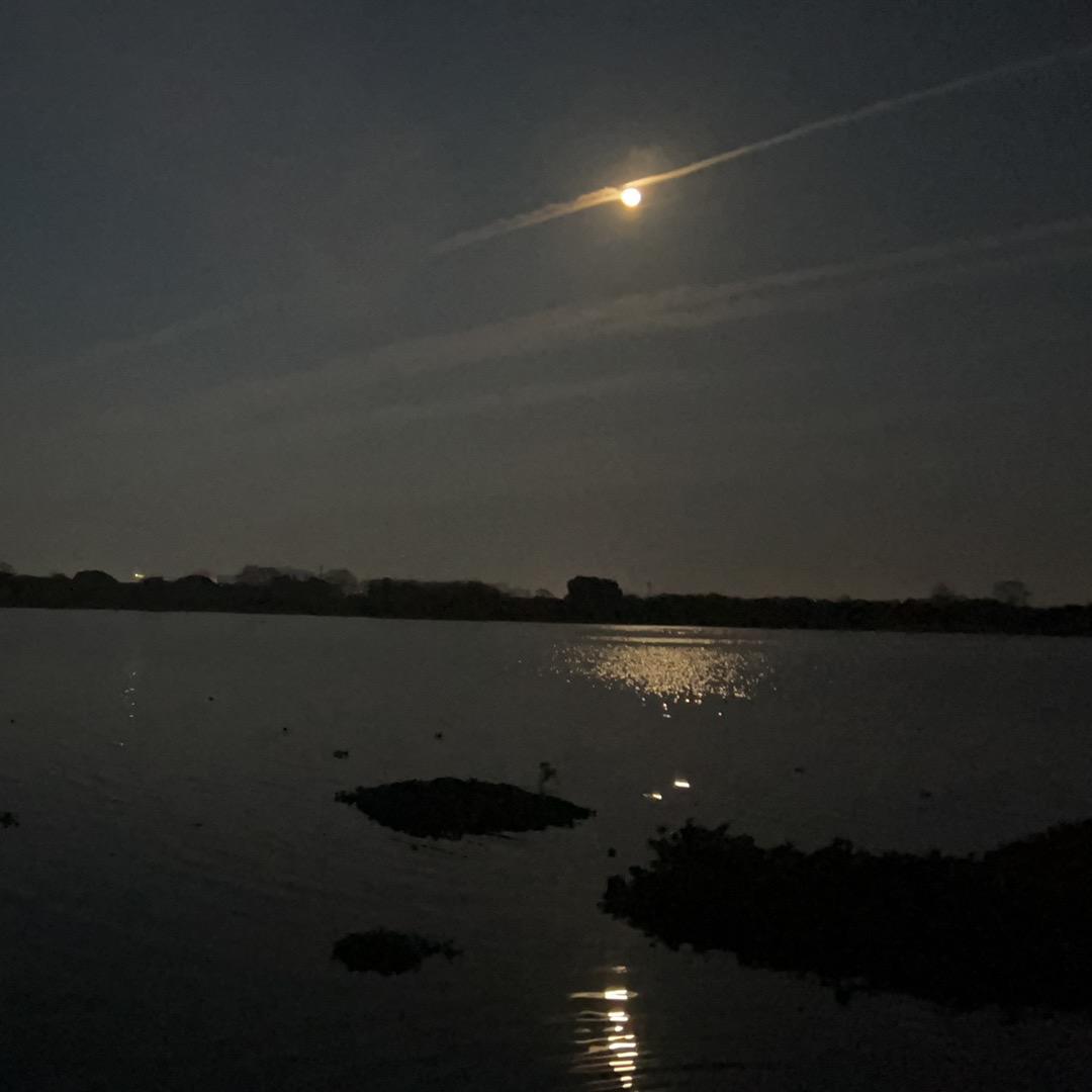 真把自己当网红啦