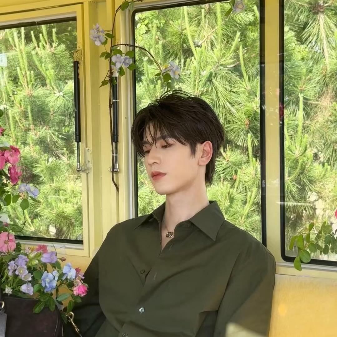 智慧🌲（好运连连版）