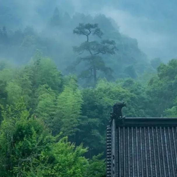 乡村阿双