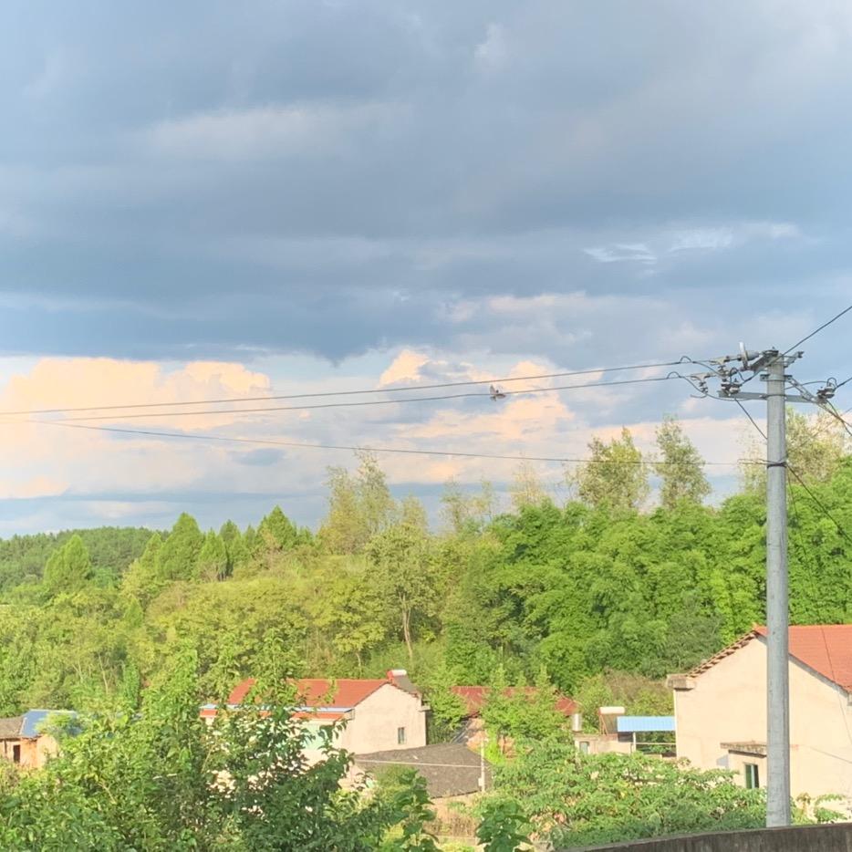 🔅爱憧憬的倩倩