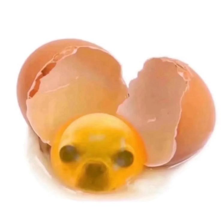 吉蛋