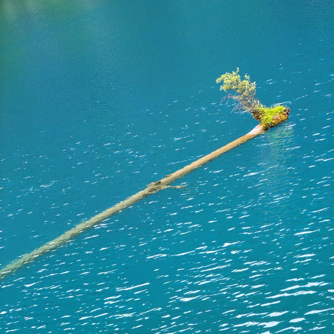 八月的风