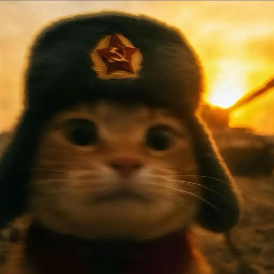 权