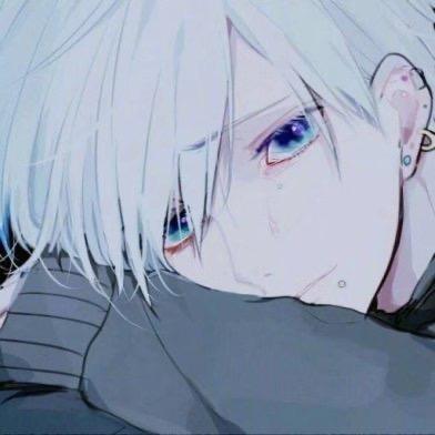 梦琪是只灰泰迪