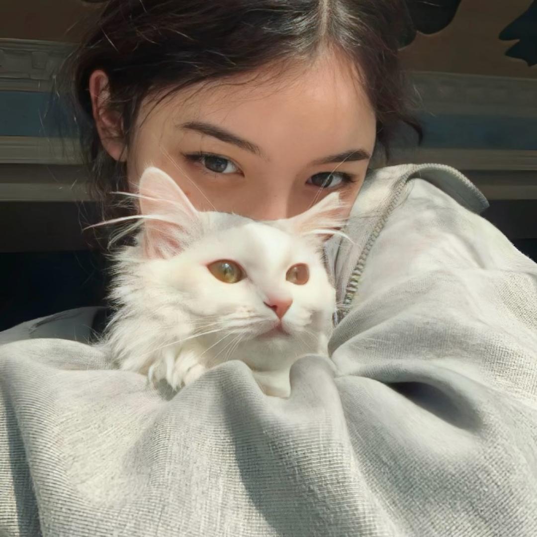 xiao沈.