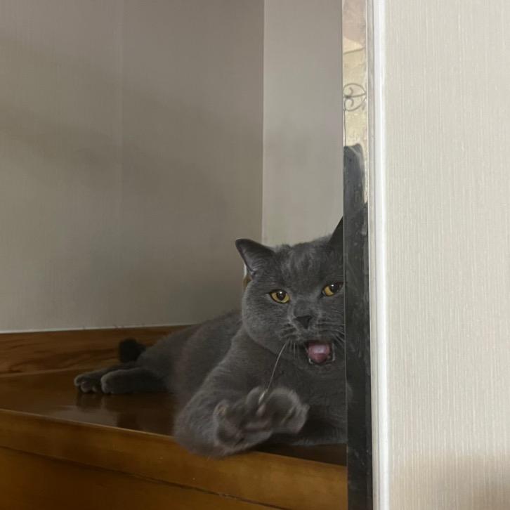 不许叫我搞笑男