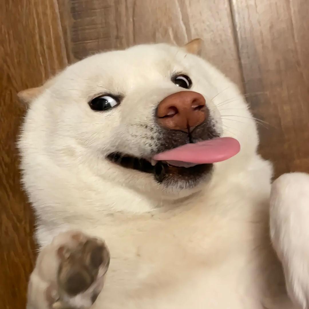 狂扇赵四半边好嘴