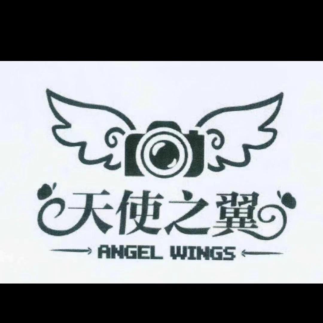 天使之翼助农电商